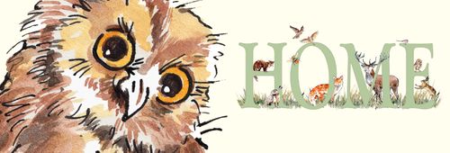 On The Edge of the Woods By Isobel Bushell